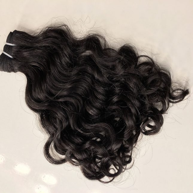 Burmese Curly