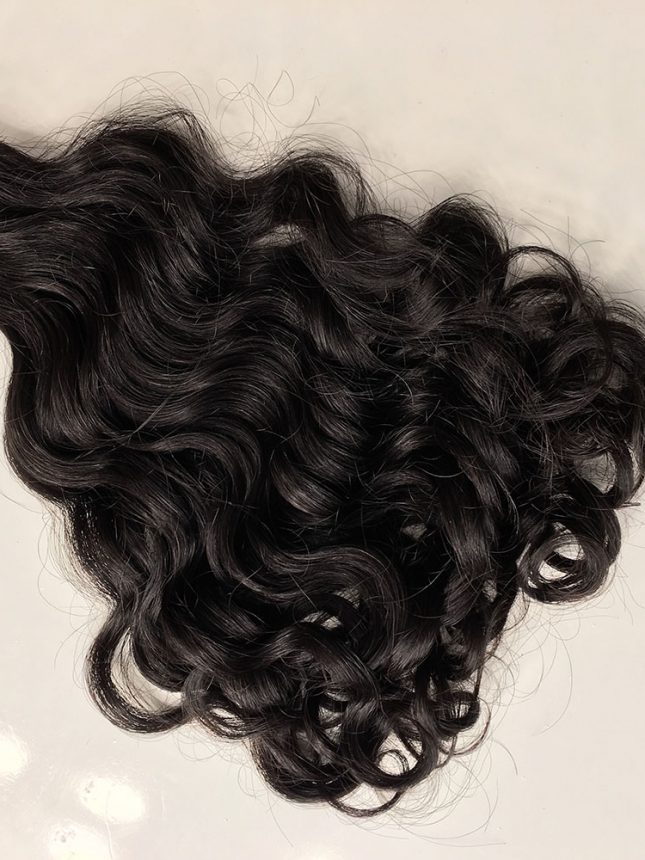 Burmese Curly